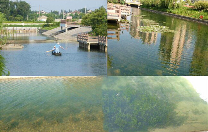 景观鱼池生态净化系统实景图