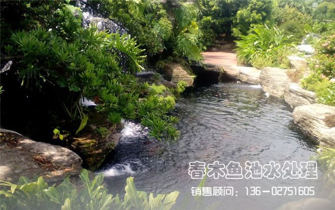 庭院景观鱼池水处理效果图片