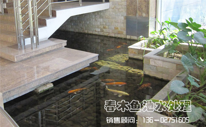 楼梯底下鱼池过滤系统图片