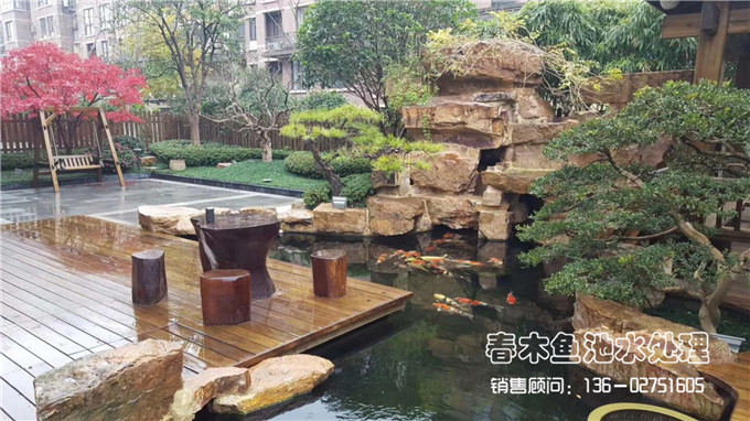 庭院大鱼池设计与建造图片
