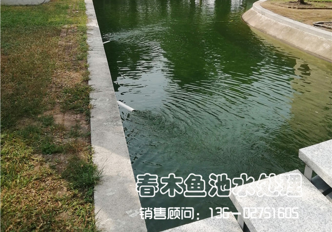 佛山顺德区景观鱼池水净化系统改造图片10