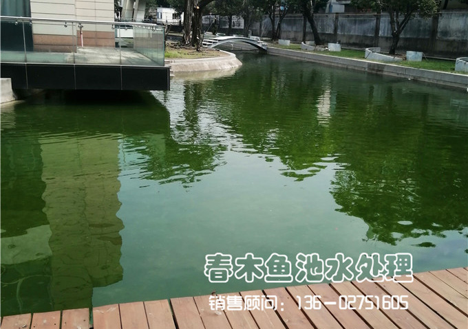 佛山顺德区景观鱼池水净化系统改造图片11