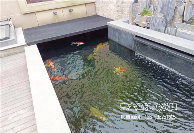庭院锦鲤鱼池设计图3